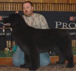 Превью фото № 3485