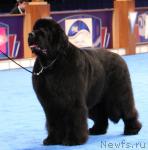 Превью фото № 34857