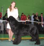 Превью фото № 34888