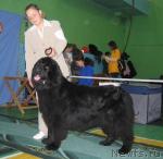 Превью фото № 34890