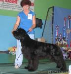 Превью фото № 34896