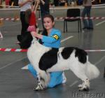 Превью фото № 35046