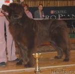 Превью фото № 3506