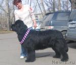 Превью фото № 3510