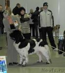 Превью фото № 35246