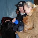 Превью фото № 35271