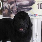 Превью фото № 3534