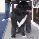 Превью фото № 3540