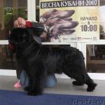 Превью фото № 3544