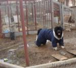 Превью фото № 3567