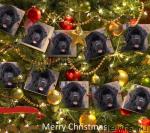 Превью фото № 35712