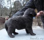 Превью фото № 3583