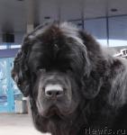 Превью фото № 3592