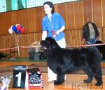 Превью фото № 3659