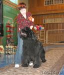 Превью фото № 3660