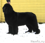 Превью фото № 36716