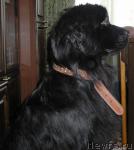 Превью фото № 3697