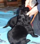 Превью фото № 37104