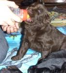 Превью фото № 37105