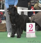 Превью фото № 37372