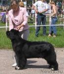 Превью фото № 3741