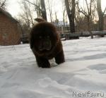 Превью фото № 37410