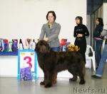 Превью фото № 38021