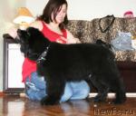 Превью фото № 38027