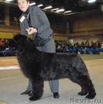 Превью фото № 38032