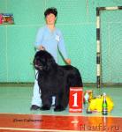 Превью фото № 38060