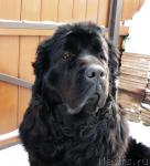 Превью фото № 38089