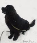 Превью фото № 38098