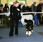 Превью фото № 38119