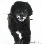 Превью фото № 38184