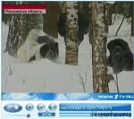 Превью фото № 38248