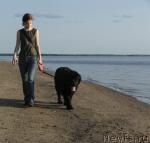 Превью фото № 38324