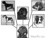 Превью фото № 3853