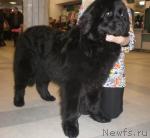 Превью фото № 38664