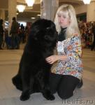 Превью фото № 38665