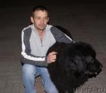 Превью фото № 38825