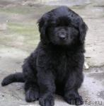 Превью фото № 3884