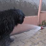 Превью фото № 3894