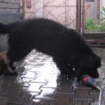 Превью фото № 3895