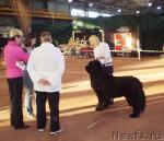 Превью фото № 39209