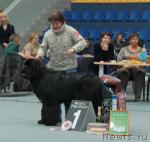 Превью фото № 39260