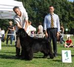 Превью фото № 39329