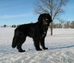 Превью фото № 39646