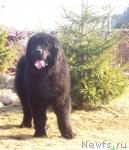 Превью фото № 39922