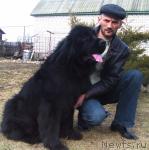 Превью фото № 39925