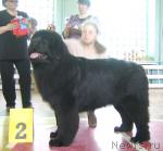 Превью фото № 3999